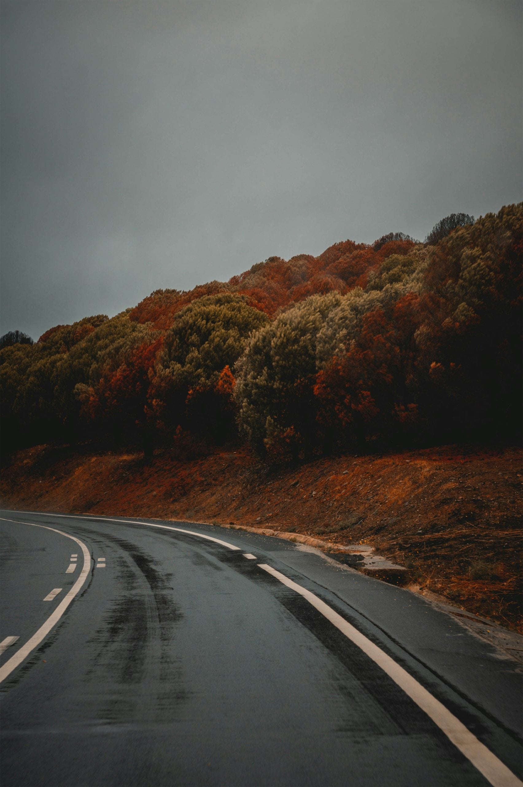geike-verniers-uo0rg23l-au-unsplash-scaled