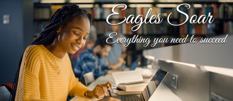 Eagles SOAR grant flyer showing students learning.